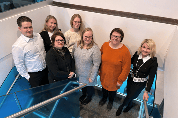 Netti_artikkeli_Sinetti-1